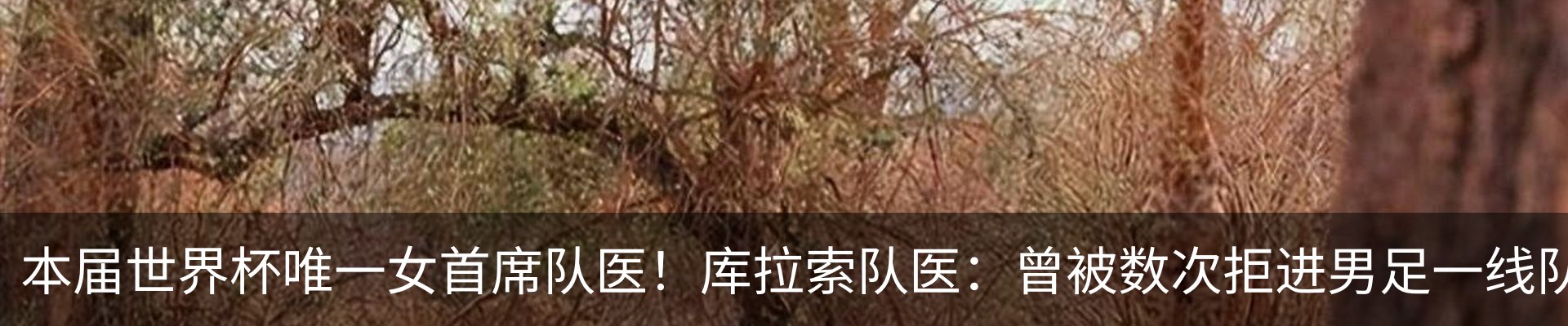 行业资讯