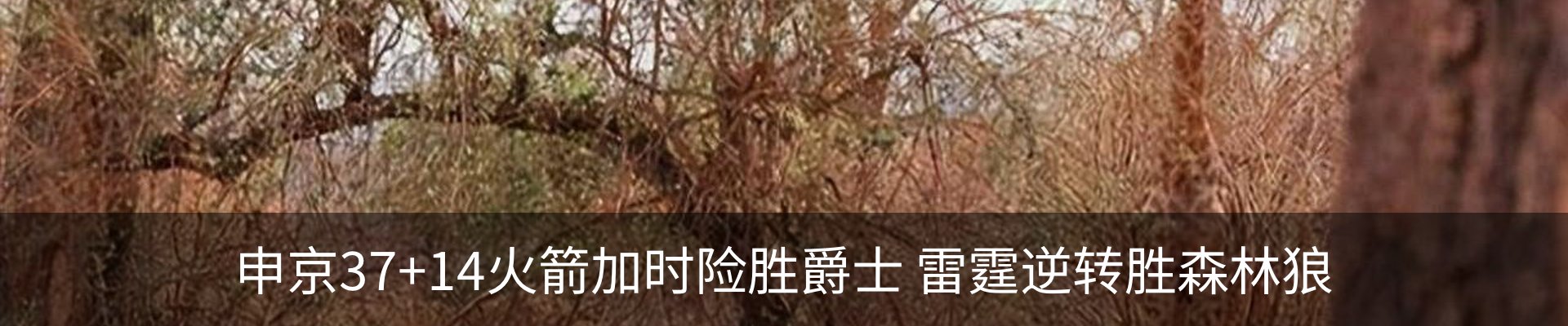 行业资讯